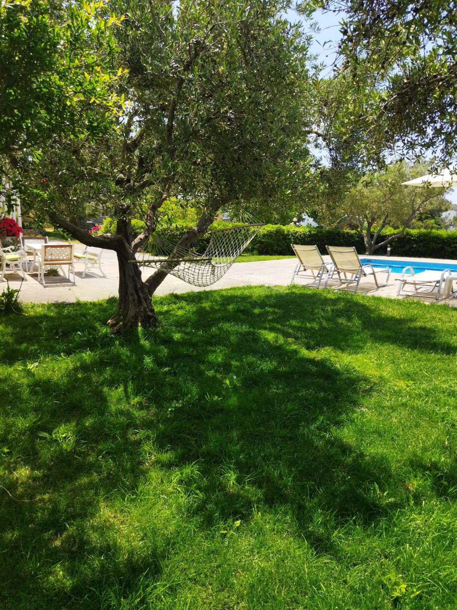 Kassiani Studios Plakias Bagian luar foto